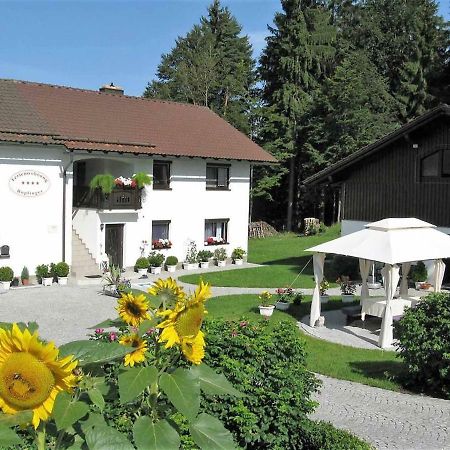 Ferienwohnung Hopfinger Hohenau 外观 照片